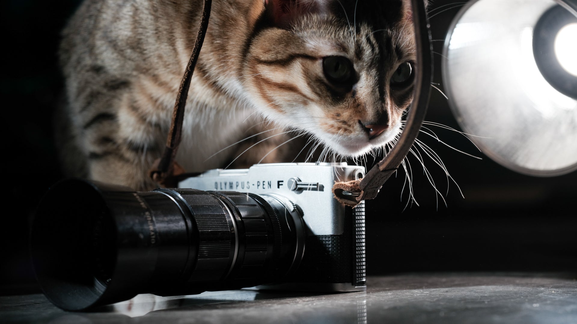 Make Photography fun again: Fujifilm X Half